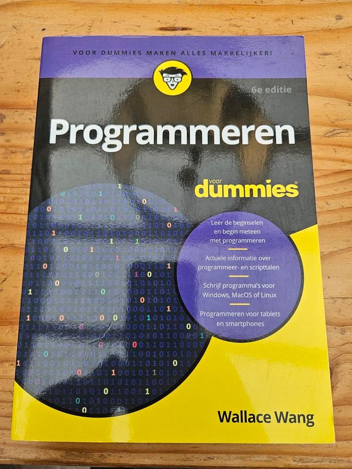Wallace Wang - Programmeren voor Dummies, Boeken, Informatica en Computer, Zo goed als nieuw, Ophalen of Verzenden