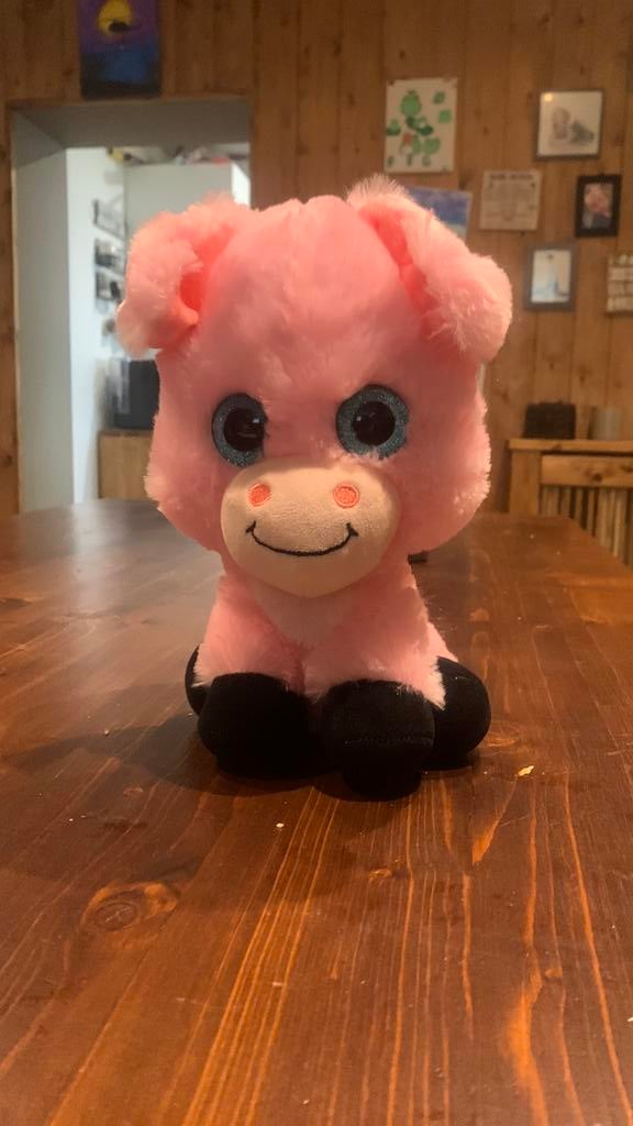 Pluche knufel, Ophalen, Zo goed als nieuw, Overige typen