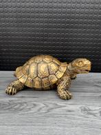 schildpad (goud/zwart) 18hoog 38breed 26diep/Nieuw!, Ophalen of Verzenden, Nieuw, Dier