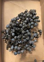 Trachycarpus Wagnerianus x Fortunei Zaden, Ophalen of Verzenden, Volle zon