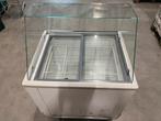IJsvriezer te koop, Witgoed en Apparatuur, Vriezers en Diepvrieskisten, Ophalen, Gebruikt, 160 cm of meer, Vrijstaand