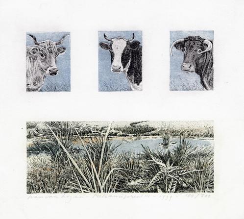 Han van Hagen - Melkunie prent III, Antiek en Kunst, Kunst | Litho's en Zeefdrukken, Ophalen of Verzenden