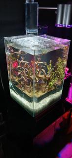 Aquarium, Dieren en Toebehoren, Vissen | Aquaria en Toebehoren, Ophalen