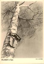 kruisbeeld te Epen,, Verzamelen, Ansichtkaarten | Nederland, Verzenden, 1920 tot 1940, Ongelopen, Limburg