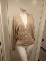 Josh V vest suze maat L beige super, Kleding | Dames, Truien en Vesten, Beige, Maat 42/44 (L), Ophalen of Verzenden, Zo goed als nieuw