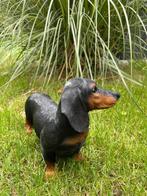 Beeld teckel, tekkel, hond, tuin, gazon 40 cm, Ophalen of Verzenden, Nieuw, Kunststof, Dierenbeeld