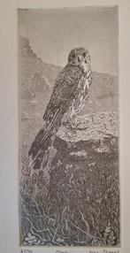 Ets dwergvalk door Jean Thomas, Antiek en Kunst, Kunst | Etsen en Gravures, Ophalen of Verzenden