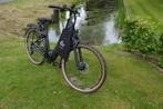 Pegasus Premio EVO 10 Framemaat 50 cm 625 WH accu, Nieuw, Overige merken