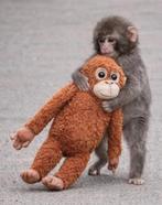 Viraal "Punch" Aap Knuffel (36CM) | Nieuw & Ongebruikt, Ophalen of Verzenden, Nieuw, Overige typen