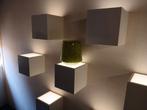 Showlicht bakjes 10 stuks wit, Ophalen, Gebruikt