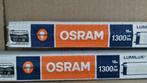 OSRAM TL lampen 2 stuks 59 cm - 18W - 1300 lm NIEUW!, Minder dan 30 watt, Overige typen, Nieuw, Overige fittingen