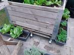 Moestuin op wielen (appelkist 1x1,20), Tuin en Terras, Ophalen, Gebruikt, 100 cm of meer, Vierkant