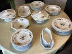 Rosenthal moosrose dinerservies voor 9 personen, Antiek en Kunst, Ophalen