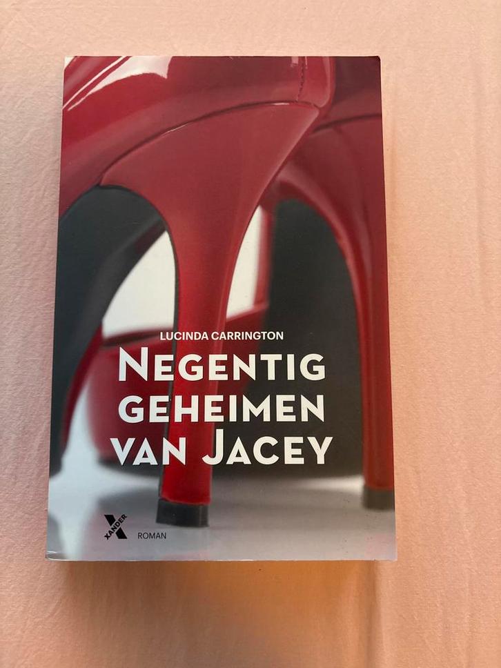 Negentig geheimen van Jacey - Lucinda Carrington, Boeken, Romans, Gelezen, Nederland, Ophalen of Verzenden