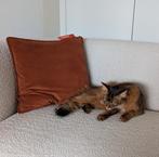 Stoov Ploov Kussenhoes Cinnamon Orange 45x45, Huis en Inrichting, Woonaccessoires | Kussens, Ophalen of Verzenden, Nieuw, Bruin