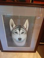 Unieke tekening Husky, Ophalen, Zo goed als nieuw, Tekening, Minder dan 50 cm