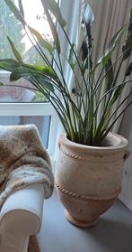 Tamegroute pot Oasis 70 cm, Ophalen, Rond, Zo goed als nieuw, Minder dan 25 cm