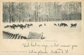 (301-063-035) Den Haag Het Hertenkamp beschikbaar voor biedingen
