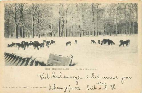 (301-063-035) Den Haag Het Hertenkamp, Verzamelen, Ansichtkaarten | Nederland, Zuid-Holland, Verzenden