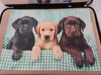 Puzzel 1000 honden, Ophalen of Verzenden, 500 t/m 1500 stukjes, Zo goed als nieuw