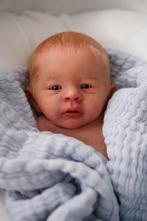 Lil jude reborn pop - artiest Alexa Calvo - nieuw, Ophalen of Verzenden, Nieuw, Pop, Levensecht of Reborn