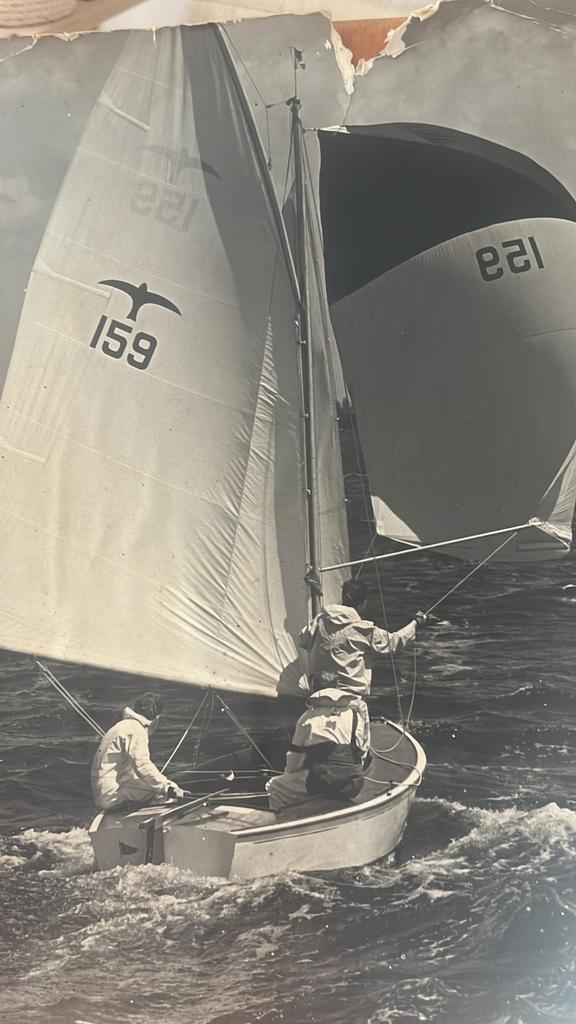 GRATIS: Originele Bruynzeel Valk uit 1941!, Hobby en Vrije tijd, Overige Hobby en Vrije tijd, Gebruikt, Ophalen