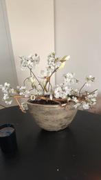 Vaas schelpen vaas bloesemboom tafelmodel, Ophalen of Verzenden, Zo goed als nieuw