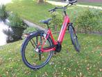 Pegasus Ravenna Framemaat 60 cm 500 WH accu, Overige merken, Pegasus, Info@pegasus-bikes.nl, Longericher Str 2
1688 jg  Keulen, DE
