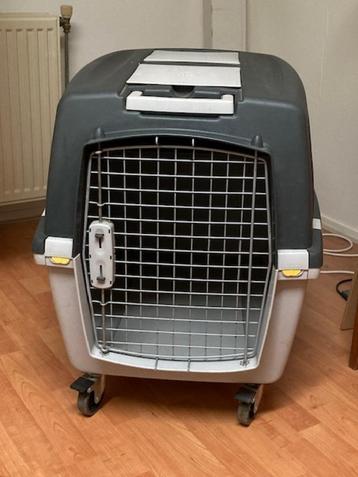 Hondenbench beschikbaar voor biedingen