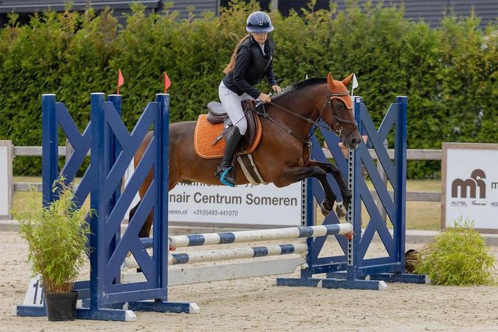 LEASE PAARD GEZOCHT, Dieren en Toebehoren, Paarden en Pony's | Verzorgingsproducten, Ophalen of Verzenden