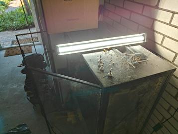 Arcadia Jungle Dawn LED Bar 570mm verlichting terrarium etc  beschikbaar voor biedingen