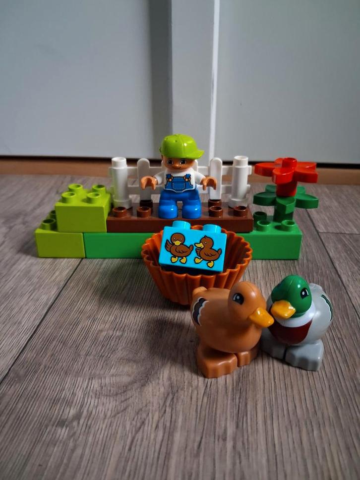 Lego Duplo bos eenden 10581, Kinderen en Baby's, Speelgoed | Duplo en Lego, Zo goed als nieuw, Duplo, Complete set, Ophalen of Verzenden