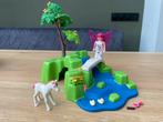 Playmobil feeëntuin met Fee en Pegasus 4148, Ophalen, Gebruikt, Complete set