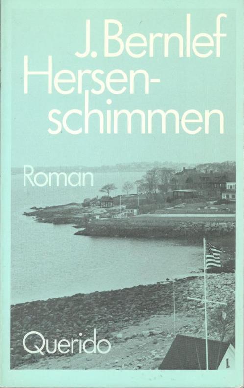 J. Bernlef - Hersenschimmen., Boeken, Literatuur, Gelezen, Nederland, Ophalen of Verzenden