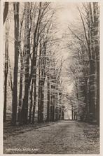 01240 Hummelo - Moslaan - gel. 1937, Verzamelen, Ansichtkaarten | Nederland, Verzenden, 1920 tot 1940, Gelopen, Gelderland