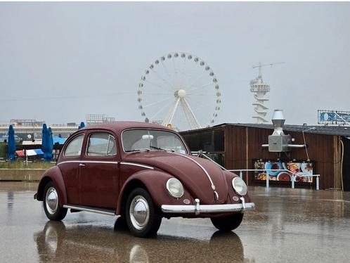 Volkswagen 1959 Rood, Auto's, Volkswagen, Bedrijf, Benzine, Sedan, Geïmporteerd, Rood, Ophalen