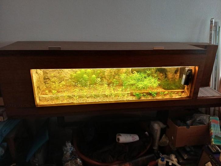 Unieke aquarium 1,5 meter/2,2 meter totaal, Dieren en Toebehoren, Vissen | Aquaria en Toebehoren, Gebruikt, Gevuld zoetwateraquarium