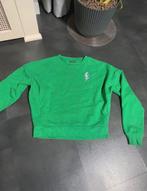 Amy & Ivy Groene Sweater XS, Ophalen of Verzenden, Nieuw, Maat 34 (XS) of kleiner, Groen