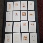 16 prentbriefkaarten "Gekorven diertjes" Han van Hagen, Ophalen, 1980 tot heden, Ongelopen, Natuur