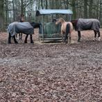 Pensionstal en ook tijdelijke winterstalling mogelijk!, Dieren en Toebehoren, Stalling en Weidegang