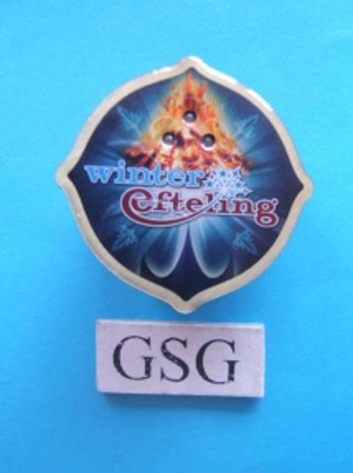 Winter Efteling 2009 met lichtjes nr. EPP50402-02, Verzamelen, Efteling, Zo goed als nieuw, Button of Speldje, Ophalen
