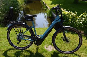 Pegasus Premio EVO T10 Framem 55 cm 625 WH accu beschikbaar voor biedingen