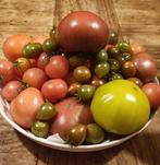 Allerlei Tomaten zaden, Tuin en Terras, Bloembollen en Zaden, Ophalen of Verzenden, Voorjaar, Volle zon, Zaad