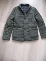 Cavallaro jas, S, Nieuw, Ophalen of Verzenden, Cavallaro, Groen