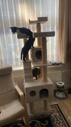 Kattentoren 1.80m, Dieren en Toebehoren, Gebruikt, Ophalen of Verzenden