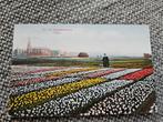 Haarlem bloemenvelden tulpen 1928, Ophalen of Verzenden, 1920 tot 1940, Noord-Holland
