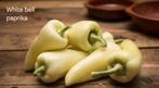Paprika en peper zaden biologisch, Ophalen of Verzenden, Volle zon