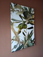 Wanddecoratie canvas olijftak, Ophalen of Verzenden