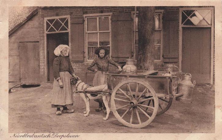 JL220 Noord Brabantsch Dorpsleven Hondenkar ca 1920, Verzamelen, Ansichtkaarten | Nederland, Ongelopen, Noord-Brabant, 1920 tot 1940