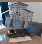 Te koop grote vogelkooi gebruikt, Dieren en Toebehoren, Vogels | Hokken en Kooien, Ophalen, Gebruikt, Vogelkooi